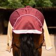 TROJAN Xtra Waterproof Fly Rug Combo image #4