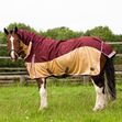 TROJAN Xtra Waterproof Fly Rug Combo image #1