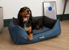 Scruffs Expedition Box Bed