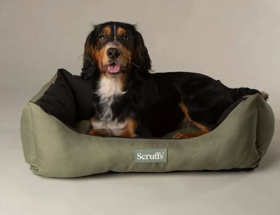 Scruffs Expedition Box Bed image #6